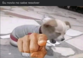 Su novio no sabe resolver