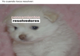 Yo cuando toca resolver: pensamientos resolvedores