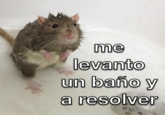 me levanto un baño y a resolver