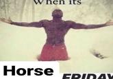 When its Horse FRIDAY