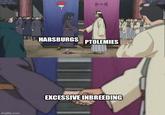 imgflip.com HABSBURGS PTOLEMIES EXCESSIVE INBREEDING