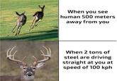 When you see human 500 meters away from you When 2 tons of steel are driving straight at you at speed of 100 kph