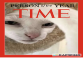 PERSON of the YEAR TIME KAPWING