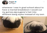 frogan @frogan *** whenever i was in grad school about to have a mental breakdown i would cut my guinea pig eugene's hair into different bang styles instead of my own