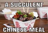 THIS IS DEMOCACY MANIFEST! | /r/memes A SUCCULENT Thank You Enjoy Thank You CHINESE MEAL