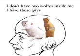 I don't have two wolves inside me I have these guys magickmemes