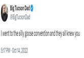Big Tucson Dad @BigTucsonDad I went to the silly goose convention and they all knew you 5:17 PM Oct 14, 2022 .