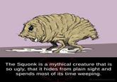 The Squonk is a mythical creature that is so ugly, that it hides from plain sight and spends most of its time weeping. fb.com/factsweird