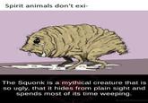 Spirit animals don't exi- The Squonk is a mythical creature that is so ugly, that it hides from plain sight and spends most of its time weeping. fb.com/factswein