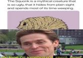 The Squonk is a mythical creature that is so ugly, that it hides from plain sight and spends most of its time weeping. BEREN You know, I'm something of a squonk myself.