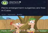 Ü Penis enlargement surgeries are free in Cuba. UberFacts @UberFacts 11:27-10/23/20 - Buffer Ferb, I know what we're gonna do today!