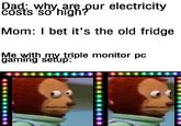 Dad: why are pour electricity cost's so high? highpur Mom: I bet it's the old fridge Me with my triple monitor pc gaming setup: 111 1334