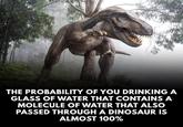 Wy THE PROBABILITY OF YOU DRINKING A GLASS OF WATER THAT CONTAINS A MOLECULE OF WATER THAT ALSO PASSED THROUGH A DINOSAUR IS ALMOST 100%