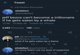 ← Tweet tKat Maddox Retweeted whalefact @awhalefact jeff bezos can't become a trillionaire if he gets eaten by a whale 12:36 - 19 May 20 - Twitter for iPhone 2,685 Retweets 16K Likes 27 jeb @Llamalna Tux .7h Replying to @awhalefact what if he gets eaten by a llama 1 22.1 39 go whalefact @awhalefact. 7h i'm sorry that's not my area of expertise 27.1 159 2 >