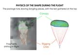 PHYSICS OF THE SHAPE DURING THE FLIGHT The package tore, leaving dangling pieces, with the rest gathered at the top Canopy Fragments shifting in-flight Rigging Lines