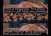 This is Hogwarts. The place where I will treat you equally. Hello Harry! Nice glasses. 50 points to Gryffindor!