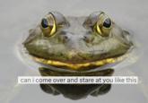 can i come over and stare at you like this