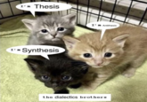I'm Thesis I'm Synthesis I'm Antithesis the dialectics brothers