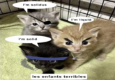 I'm solidus I'm solid I'm liquid les enfants terribles