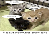 i'm decide i'm persist i'm affirm THE MANIFESTATION BROTHERS