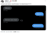 VEIN @SOØu0o HOW ELSE WAS I SUPPOSED TO RESPOND????? Meow 3:17 AM || free Grown ass man 3:21 AM 6:12 AM Jan 8, 2024 3.8M Views Meow 3:18 AM BITCH??? 3:31 AM Seen : ...