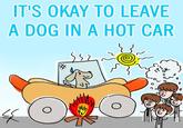Album cover IT'S OKAY TO LEAVE A DOG IN A HOT CAR « E My ок