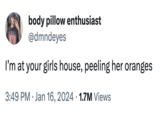 body pillow enthusiast @dmndeyes I'm at your girls house, peeling her oranges 3:49 PM Jan 16, 2024 1.7M Views .
