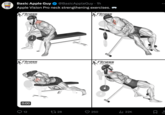GED Basic Apple Guy @BasicAppleGuy. 1h Apple Vision Pro neck strengthening exercises. Fitness Program som Fitness Programer.Com 0:00 12 28 Fitness Progra Fitness Programer.com 250 ₁22K : 口企
