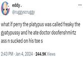 eddy. @ruggyscruggy what if perry the platypus was called freaky the gyatypussy and he ate doctor doofenshmirtz ass n sucked on his toe s 2:43 PM Jan 4, 2024 · 244.9K Views