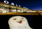 ORLY QUEST ORLY?