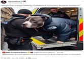 Sarcasticus @Sarcasticus____ "What's the charge?! Eating a toddler?! A succulent Scottish toddler?!" FOLICE NEWS THEL NOE 10:26 AM Jan 18, 2024 2.7M Views QOLG BBC Scotland News @BBCScotlandNews. Jan 18 BREAKING: Scottish government announces XL Bully dog ban bbc.in/3HnyA27 O