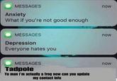 MESSAGES Anxiety What if you're not good enough MESSAGES Depression Everyone hates your MESSAGES Tadpole Yo man I'm actually a frog now can you update my contact info now now now