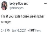 body pillow entl @dmndeyes I'm at your girls house, peeling her oranges 3:49 PM Jan 16, 2024 4.5M Views