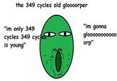 the 349 cycles old gloooorper "im only 349 cycles 349 cycles is young" "im gonna glooooooooooo orp"