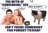 THE MYTH OF "CONSENSUAL" SEX I CONSENT I CONSENT WHY IS EMPTY ISN'T THERE SOMEBODY YOU FORGOT TO FEED?