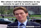 Me when I roll the batteries in my remote to get it to work again DE You know, I'm something of an electrician myself
