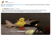 Bert @bertsesame We are working on it! @Sesame Ernie did you get the microscope I asked for? #HelpBigBird Big Bird @BigBird. Jan 25 Day 2 of being tiny. Does this mean that I am now just, "Bird"? Has anyone figured how to help me? #HelpBigBird twitter.com/bigbird/status...