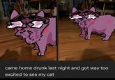 Honkai Star Cat came home drunk last night and got way too excited to see my cat