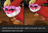 Shooketh Cheshire came home drunk last night and got way too excited to see my cat