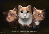 RAPOSILDA the council will decide your fate