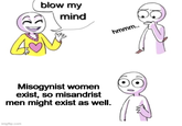 blow my mind Misogynist women exist, so misandrist men might exist as well. imgflip.com hmmm..
