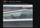 Cybertruck Apple Vision Pro video meme shorty_ocelot This is the final boss of incels.