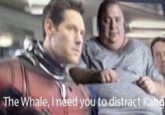 The Whale, I need you to distract Kang