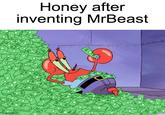 Honey after inventing MrBeast imglip.com $ $0$ OS