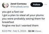 Janel Comeau @VeryBadLlama Follow you got a fast car I got a plan to steal all your plums you were probably saving them for breakfast forgive me but I wanted them 8:03 PM Feb 5, 2024 32.5K Views