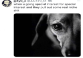 jjj4y0_o @JJJ4Y0_O 9h when u going special interest for special interest and they pull out some real niche s---