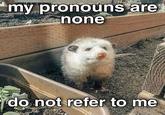 my pronouns are none do not refer to me