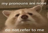 my pronouns are none @raccoon_motivation do not refer to me