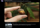 Inceptual James @HeyImPostinHere Feb 13, 2024 This new form of fentanyl is devastating our communities. Githii 3:47 @githii. 17h The deputy misinterpreted the sound of an acorn striking the patrol vehicle as a gunshot. GEN BON K :