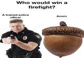 Who would win a firefight? A trained police officer be S 224 Adobe POLICE Acorn